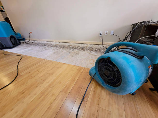 Professional Flood Damage Cleanup technician working in Queen Creek, AZ